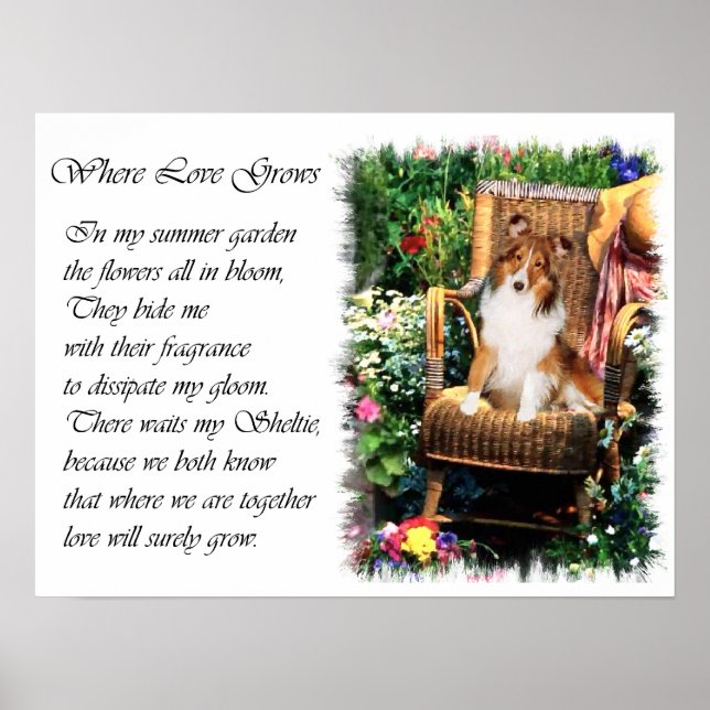 Poster Shetland Sheepdog Sheltie Art Cadeaux (Devant)