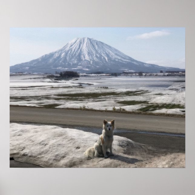 Poster Shiba Inu (Devant)