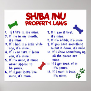 POSTER SHIBA INU PL2