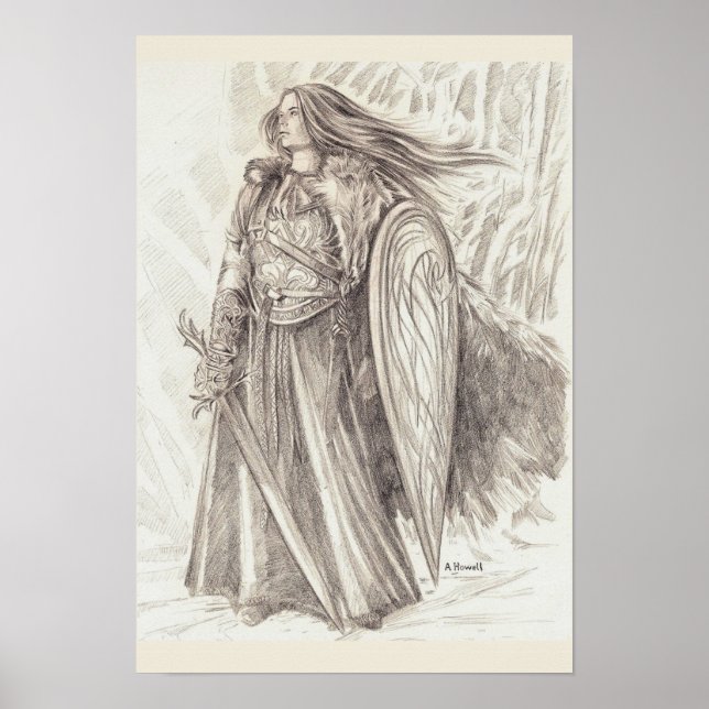 Poster Shield Maiden d'Avalon (Devant)