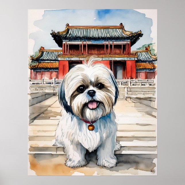 Poster Shih Tzu - Art Chien Imprimer (Devant)
