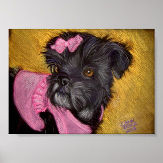 Poster Shih-tzu avec cou rose