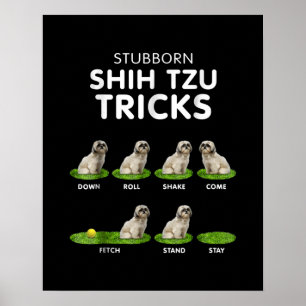 Poster Shih Tzu Lover Funny Shih Tzu Trick Dog Love