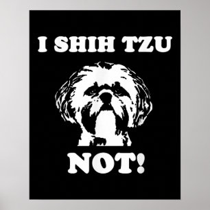 Poster Shih Tzu Lover   I Shih Tzu Pas Drôle Chien