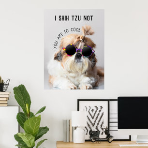 Poster Shih Tzu Pas amusant mignon amoureux de les chiens