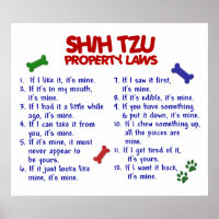 SHIH TZU PL2