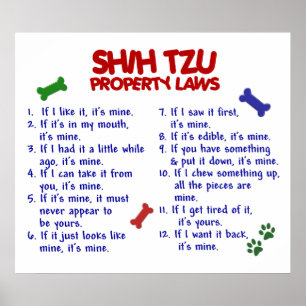 POSTER SHIH TZU PL2