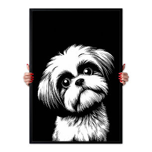 Poster Shih Tzu Pop Art Blanc & Noir Chic Esthétique