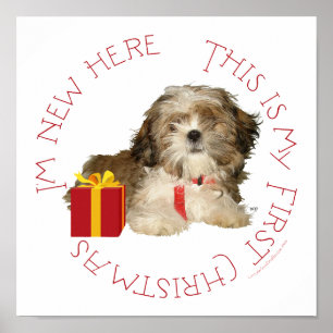 Poster Shih Tzu Puppy Premier Noël