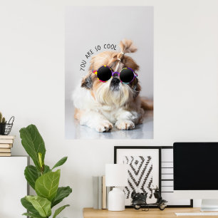 Poster Shih Tzu Vous êtes si Cool mignon fun Lunettes de