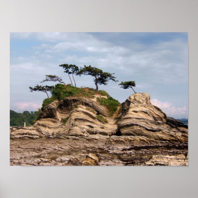 Poster Shiroyama (Devant)