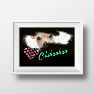 Poster Short-Haired Chihuahua Eyes Solid Color