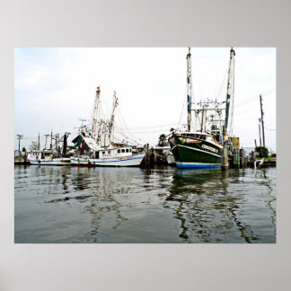Poster SHRIMPERS Imprimer