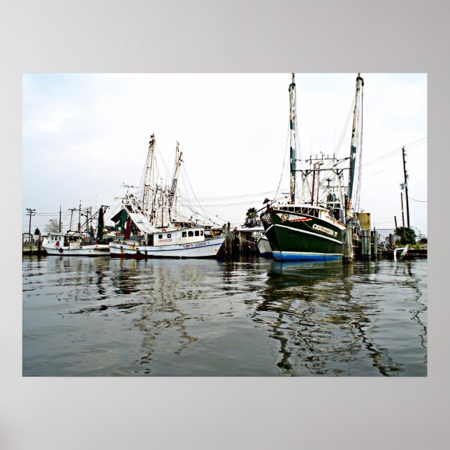 Poster SHRIMPERS Imprimer (Devant)