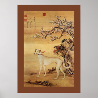 Poster Shuanghuayao~ 霜 花 鹞 ~Greyhound ~Giuseppe Castiglio