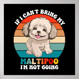 Poster Si je ne peux pas amener mon chien Maltipoo, je ne