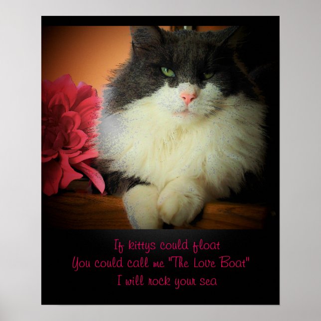 Poster Si les chats pouvaient flotter (Devant)