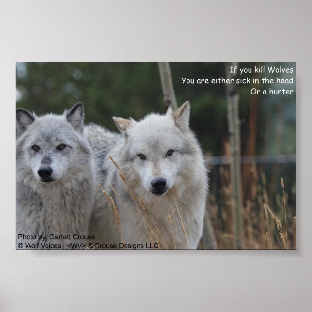 Poster Si Tes Loups... (Devant)