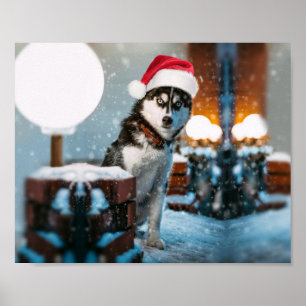 Poster Siberian Husky