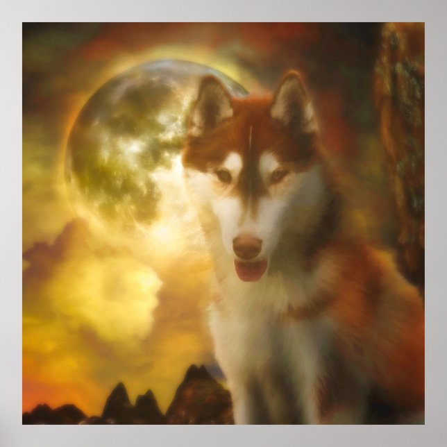 POSTER SIBÉRIEN HUSKY MOON KINGDOM (Devant)