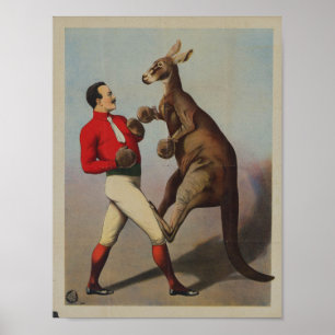 Poster Sideshow de boxe Vintage Kangaroo