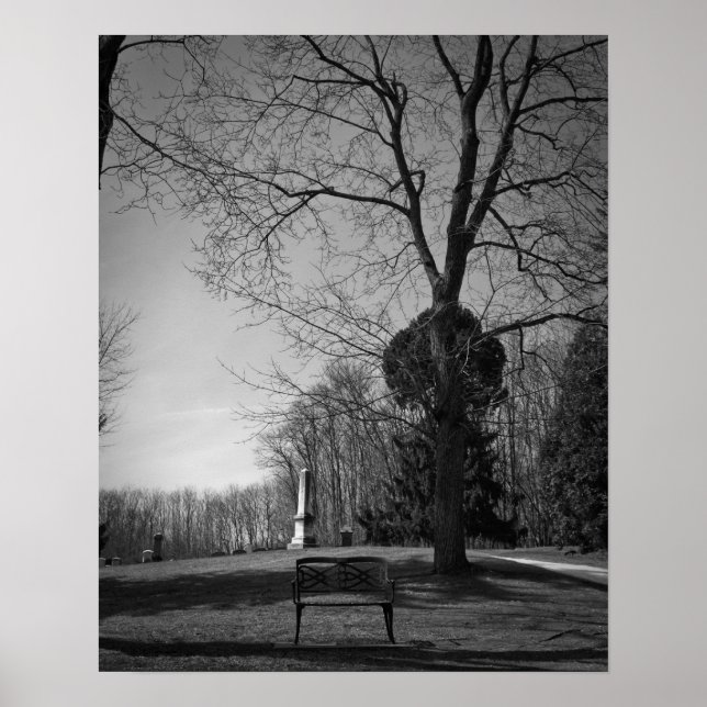 Poster Siège vide (Devant)