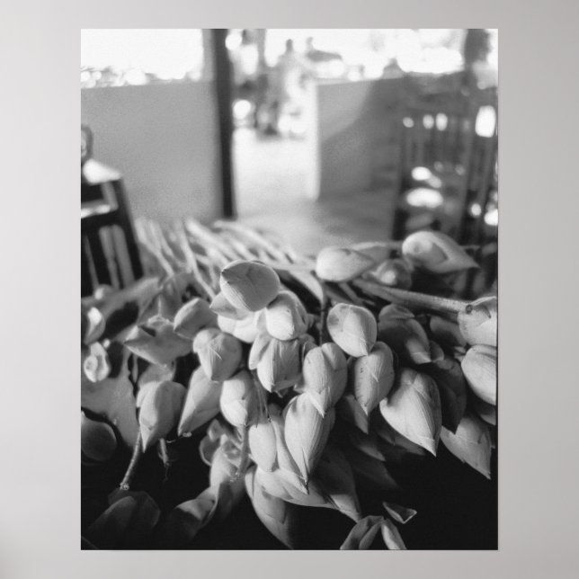 Poster Siem Reap Cambodge, Fleurs Lotus (Devant)