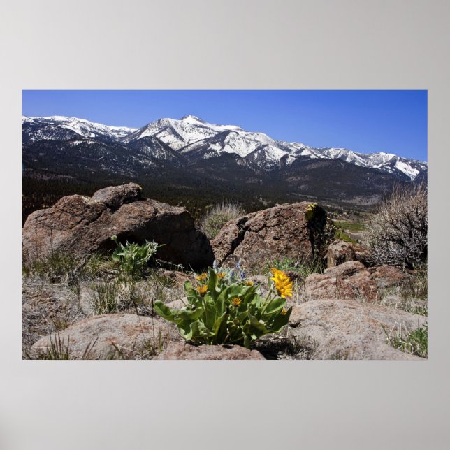 Poster Sierra Mountain View (Devant)