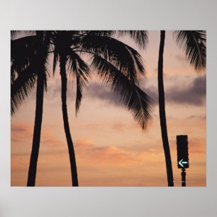 Poster Signal et palmier