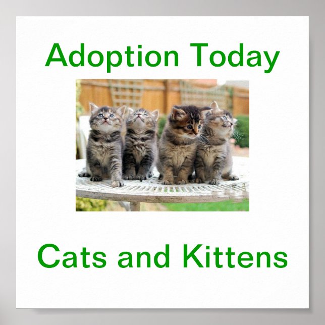 Poster Signature d'aujourd'hui pour l'adoption de chats e (Devant)
