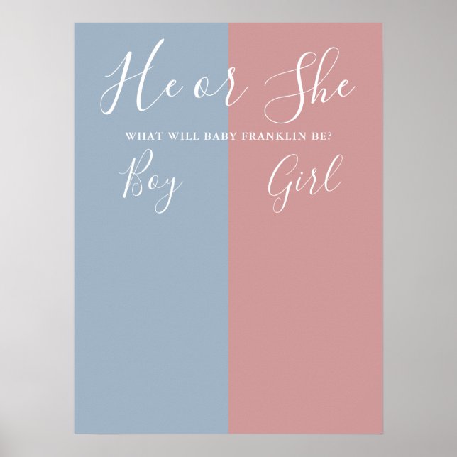 Poster Signe De Vote Révélateur De Sexe Bleu Et Rose (Devant)