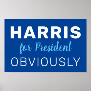 Poster Signe Harris pour président de toute évidence 2024