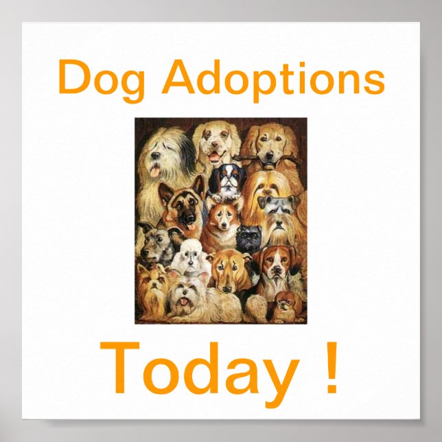 Poster Signes d'aujourd'hui d'adoptions de chien (Devant)