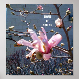 Poster SIGNES DE L'affiche du PRINTEMPS