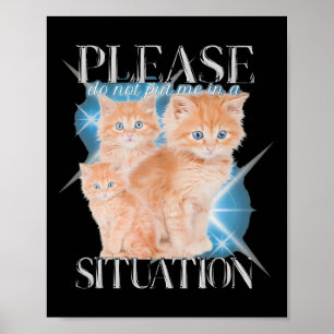 Poster S'Il Vous Plaît Ne Me Placez Pas Dans Une Situatio
