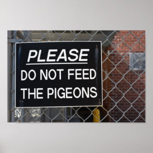 Poster S'il vous plaît ne nourrissez pas les pigeons New