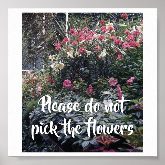 Poster S'il vous plaît ne pas choisir le signe de fleurs (Devant)