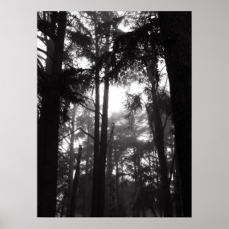 Poster - Silence Argent