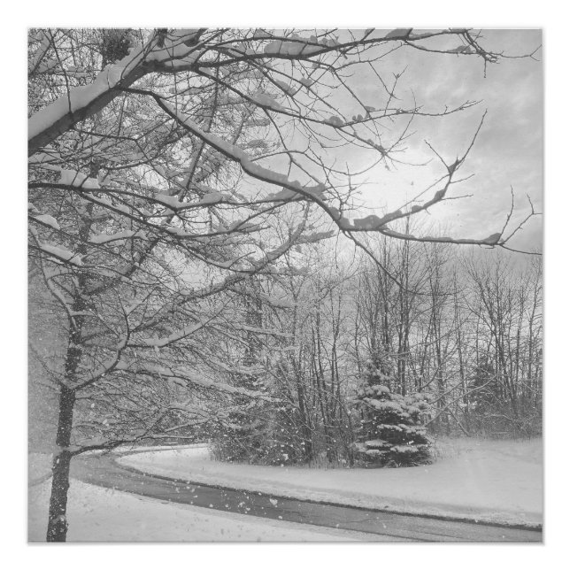Poster Silence d'hiver  (Devant)