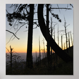 Poster Silhouette