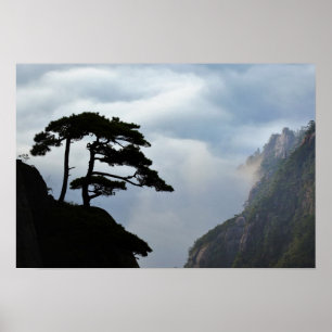 Poster Silhouette arborée au lever du soleil, Montagne Ja