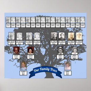 Poster Silhouette Arbre Photo Deux Arbres Familiaux
