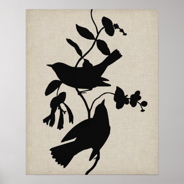 Poster Silhouette Audubon IV (Devant)