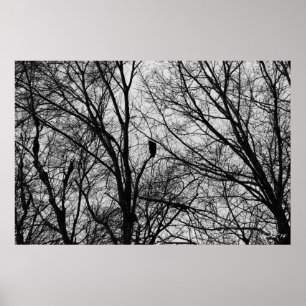 Poster Silhouette Buzzard