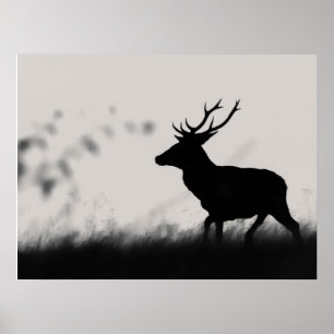 Poster Silhouette de cerf élaphe dans la brume – Noir et 