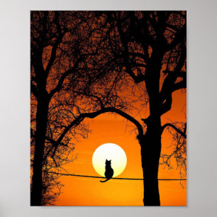 Poster Silhouette de chat noir au coucher du soleil