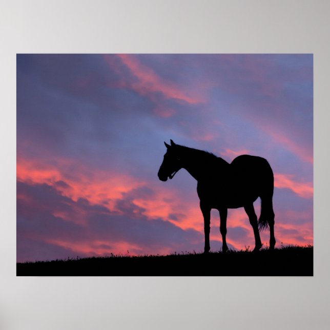 Poster Silhouetté de cheval à gorge profonde au lever du  (Devant)