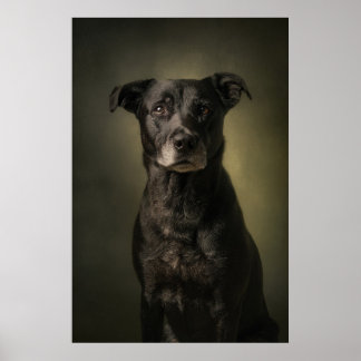 Poster Silhouette de chien élégant