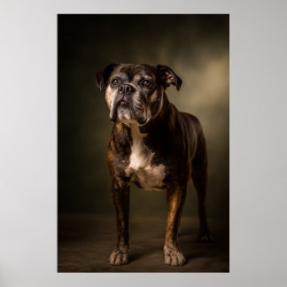 Poster Silhouette de chien élégant