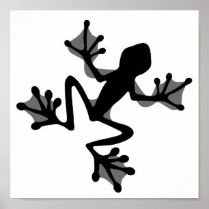 Poster Silhouette de Frog